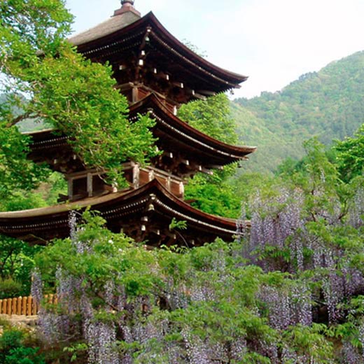 前山寺