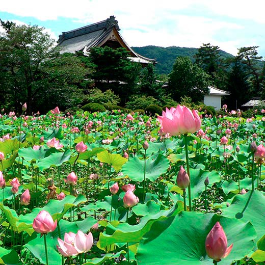 信濃國分寺